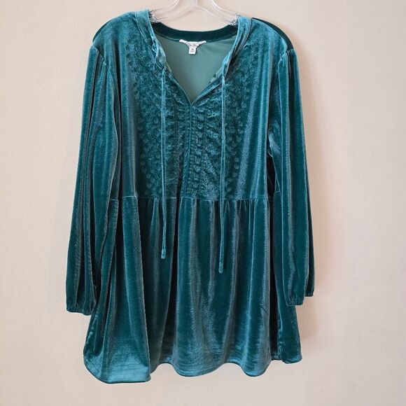 Pioner Womens Green Velvet Top XXL Velour Embroidered Lond Sleeve Wimsihoth - Picture 1 of 9